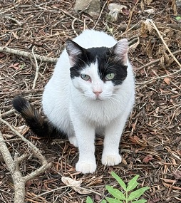 Diego