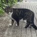 Mona aus der Kolonie Wohngebiet